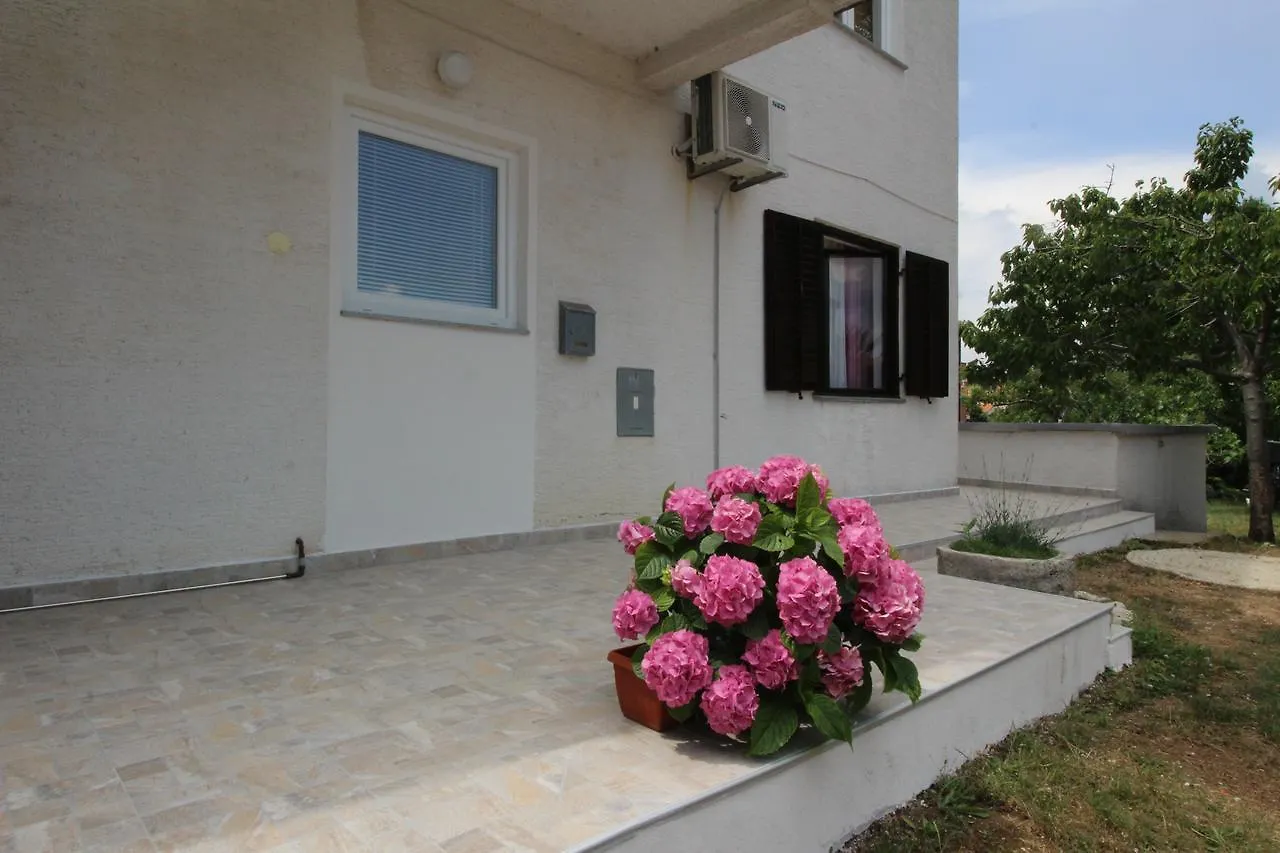 Apartment Jadranka Silo